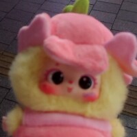 明日12時～います♪