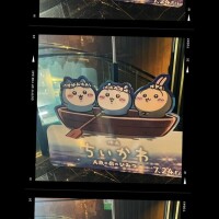 観てきた🧜🏻‍♀️🪸🫧