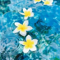 あしたは