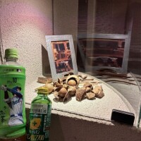 お礼(՞_  ̫ _՞)"本Nさま◡̈⃝˖*1