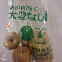 なし(°ᯅ°)🍐♡8