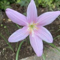 おはようございます♡