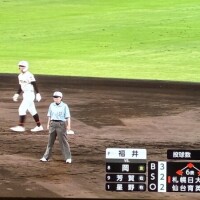 ちゃんちゃんすーーᕷ*.°6