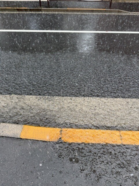♡大雨♡