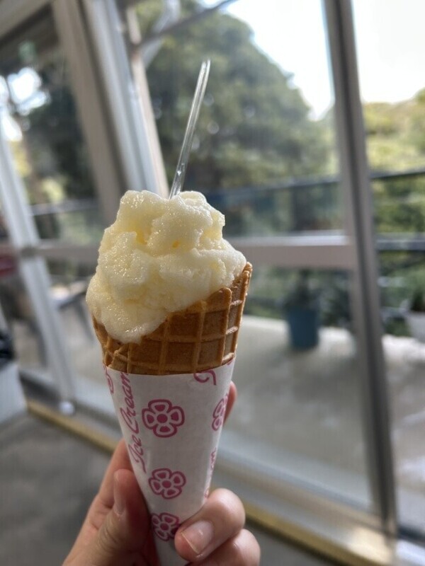 昨日のお礼