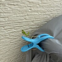 明後日の貸切り♡