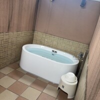 馬橋のハイビスカス！