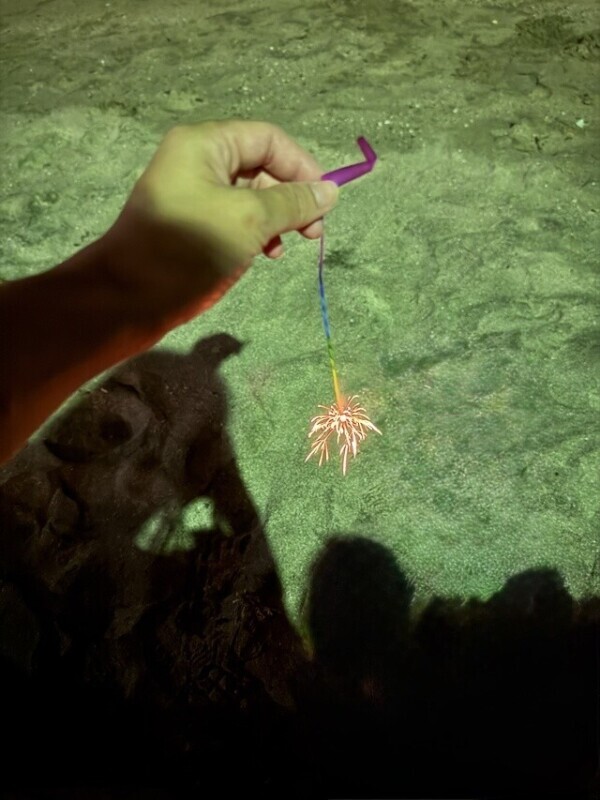 高級線香花火