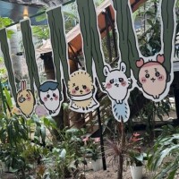 9/7出勤します(*･ω･)*_ _)