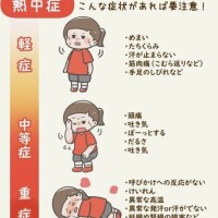 熱中症🥵50