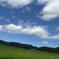 本日久々の満員御礼✨✨