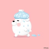 今日も今日とて