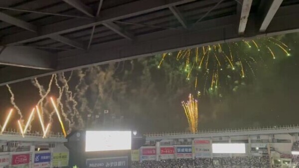 花火🎆🎆