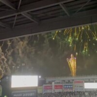 花火🎆🎆