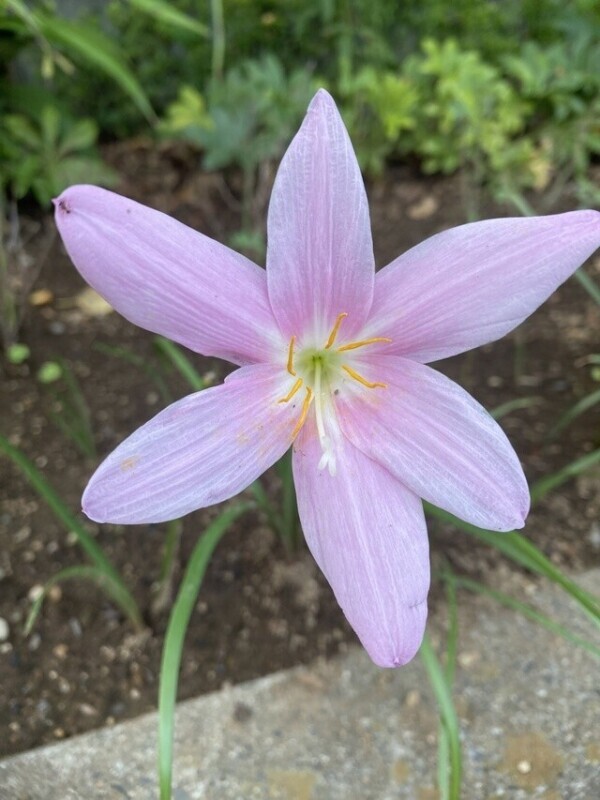明日のご予約ありがとうございます♡