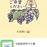 メッセージでお見舞い😭✨