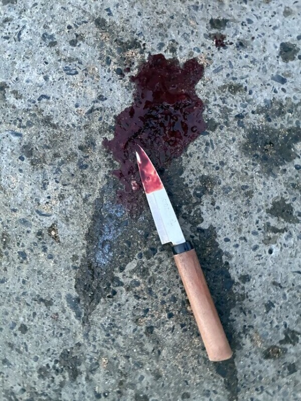 ⚫︎人現場(・ω・)🔪(