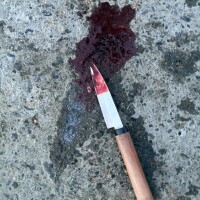 ⚫︎人現場(・ω・)🔪(