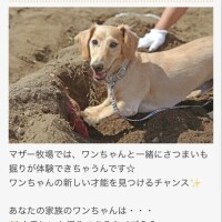 ♡とっても♡