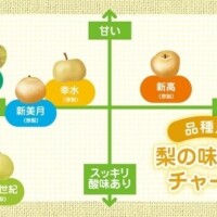 なつ
