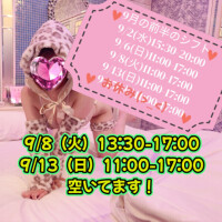 前半の予定❣️