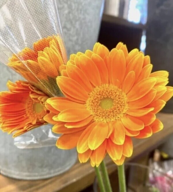🌺感謝🌺