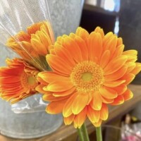 🌺感謝🌺