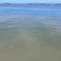 ニゴっ( * ˙꒳​˙ )8