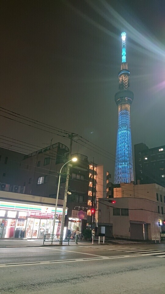 綺麗