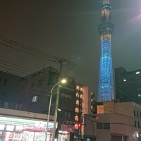 綺麗