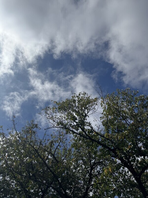 天気よすぎー❣️☀️