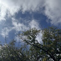 天気よすぎー❣️☀️