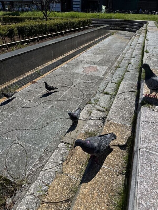 ピクニック🧺❣️🤭