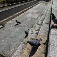 ピクニック🧺❣️🤭
