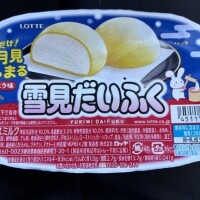 アイスで終わりアイスで始まり🍦2
