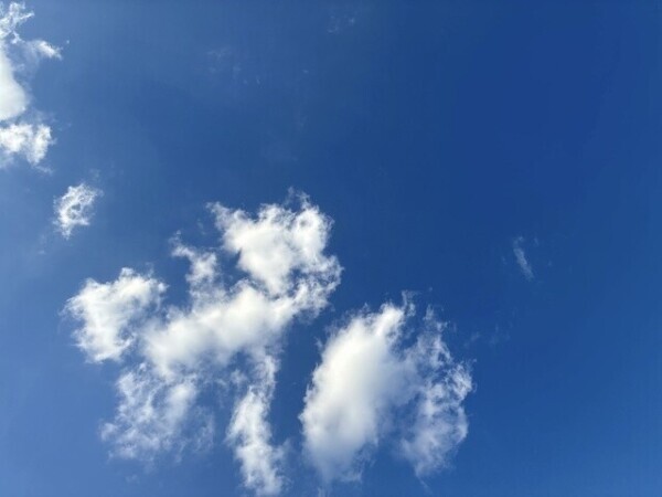 歩く、ミオ