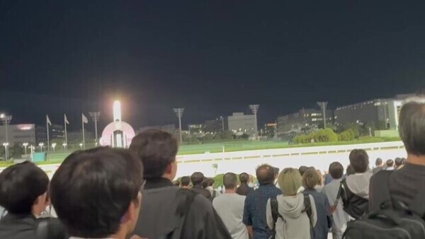 地方🐎