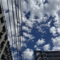 ゆいぴ12時から出勤‼️