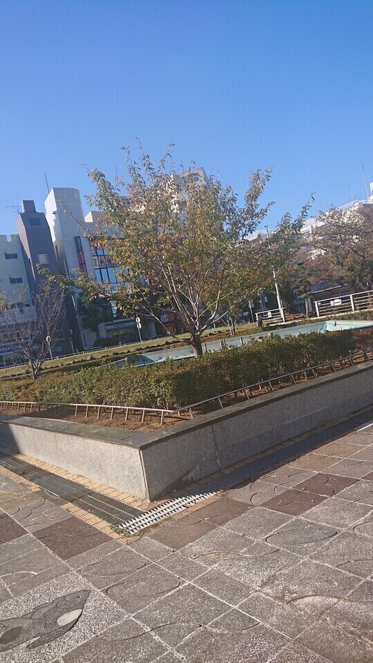 お散歩して待ってるね🥺︎