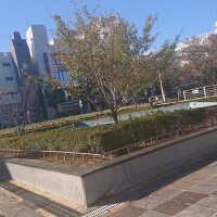 お散歩して待ってるね🥺︎