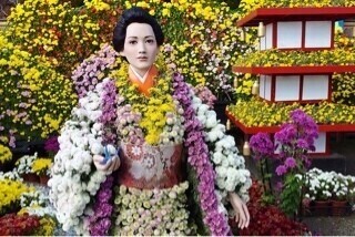 きれいなの？