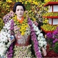きれいなの？