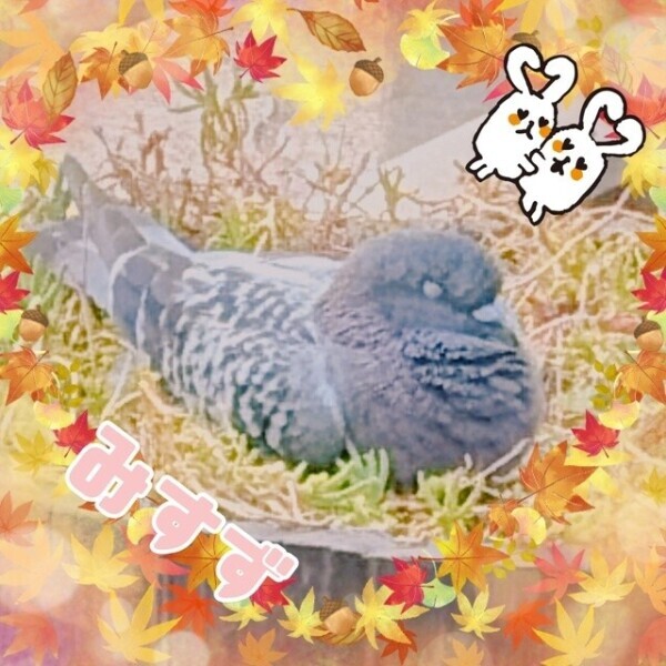 すやすやさんがいた