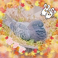 すやすやさんがいた