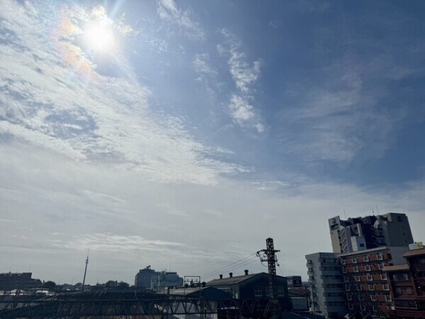 天気が良いと‼️心も晴れる‼️☀️