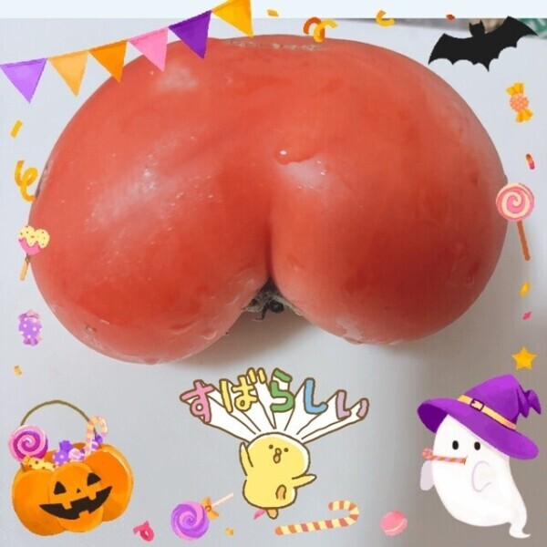 これは見事な。