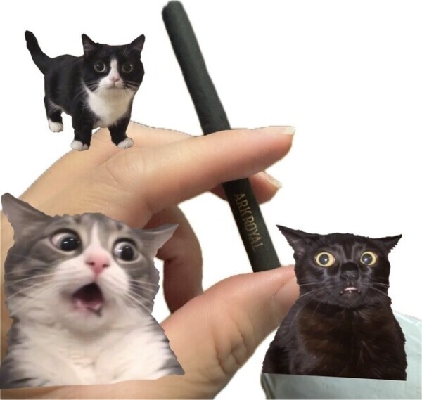 貰い煙草のゆい‼️