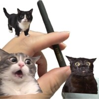 貰い煙草のゆい‼️