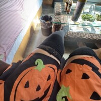 はじまたー^ ̳>𖥦< ̳^🎃