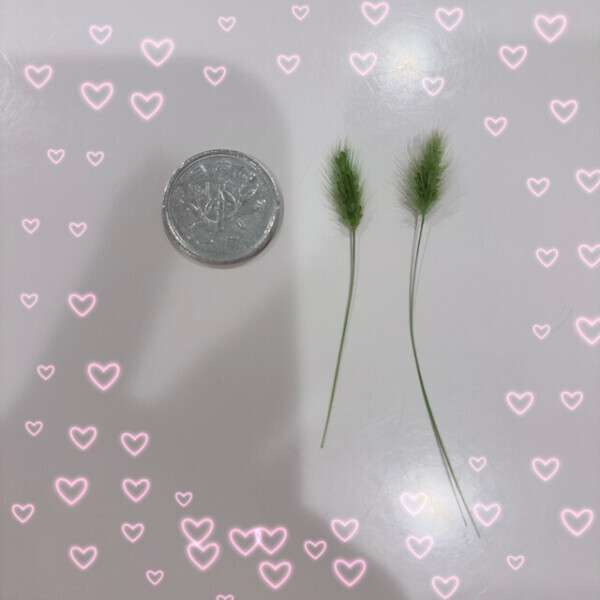お疲れ様です(*´◒`*)